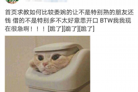 南郊融资清欠服务